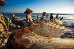 Bộ Công thương sẽ phối hợp Hiệp hội Chế biến và Xuất khẩu thủy sản Việt Nam (VASEP) tổ chức “Chương trình kết nối cung-cầu thủy sản nội địa tại Vietfish 2026”. (Ảnh: TTXVN)
