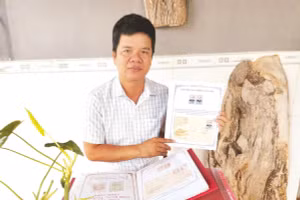 Ông Thu với bộ sưu tập tem về Chủ tịch Tôn Đức Thắng.