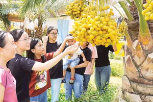 Du khách tham quan Vườn sinh thái Chala Farm tại phường biên giới Hồng Ngự, tỉnh Đồng Tháp.