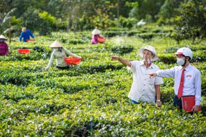 Nguồn vốn tín dụng xanh đang góp phần hỗ trợ doanh nghiệp và người dân đầu tư vào các mô hình sản xuất nông nghiệp bền vững. (Ảnh: Báo Nhân Dân)