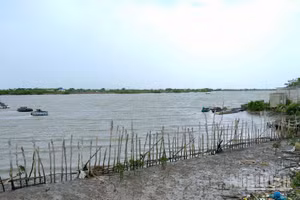 Khung cảnh hoang tàn do ảnh hưởng của sạt lở ven tuyến sông Gành Hào, đoạn qua ấp Canh Điền, xã Gành Hào, tỉnh Cà Mau. (Ảnh: HỮU TÙNG)