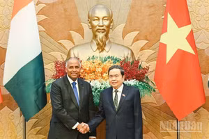 Chủ tịch Quốc hội Trần Thanh Mẫn cùng Chủ tịch Quốc hội nước Cộng hòa Bờ Biển Ngà Patrick Achi. (Ảnh: DUY LINH)