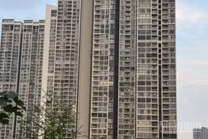 Cân nhắc kỹ tới hoạt động mua bán bất động sản trên môi trường số, đáp ứng yêu cầu thực tế thị trường minh bạch, hiệu quả. (Ảnh: HNV)