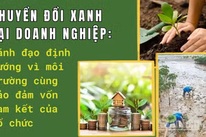 Khi lãnh đạo doanh nghiệp phụng sự môi trường, sự phát triển sẽ đạt hiệu quả bền vững. (Ảnh: HNV)