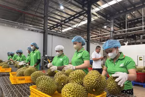 Hiện hệ thống truy xuất nguồn gốc của Việt Nam đã cập nhật khoảng 18.000 sản phẩm của 26/34 tỉnh, thành phố, với 255 vùng trồng và 149 doanh nghiệp tham gia.