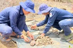 Bộ phận 2, Đội K73 (Bộ Chỉ huy Quân sự tỉnh Tây Ninh) phát hiện và quy tập hài cốt liệt sĩ trên đất bạn Campuchia, tháng 5/2026. (Ảnh: nhandan.vn)