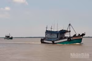 Tây Ninh đặt mục tiêu đến trước ngày 10/9/2026 xác định rõ tình trạng và biện pháp quản lý đối với toàn bộ 82 tàu chưa đủ điều kiện hoạt động.