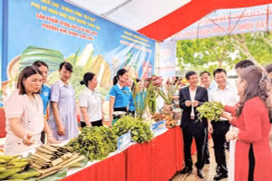 Các gian hàng không dùng tiền mặt do Hội Liên hiệp Phụ nữ xã Nam Xang tổ chức.