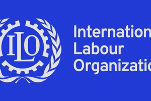 Tổ chức Lao động Quốc tế (ILO).