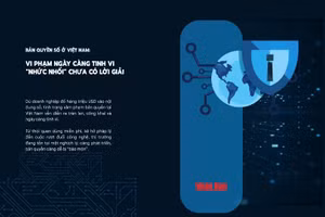 Bản quyền số ở Việt Nam: Vi phạm ngày càng tinh vi, nhức nhối, chưa có lời giải