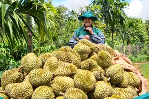 Bức ảnh tham gia Triển lãm ảnh nghệ thuật “Nữ hoàng của đại ngàn xanh”. (Ảnh: Đạm Phú Mỹ) 