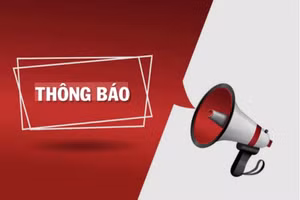 Công ty cổ phần kinh doanh than miền bắc - Vinacomin thông báo mời thầu Invitation for bird 