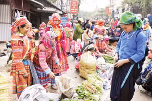 Đa dạng sắc màu, sáng bừng phiên chợ quê. 