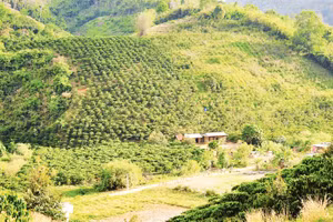 Tiểu khu 176, Đạ M’Pô ngày càng đổi thay. Ảnh: Hương Ly