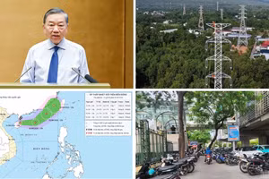 Tin nổi bật ngày 31/8: Bộ Chính trị ban hành Nghị quyết về phát triển các vùng và tổ chức không gian phát triển quốc gia trong giai đoạn mới; Hơn 2.500 trường hợp bị xử lý vi phạm nồng độ cồn 