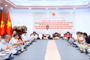 Phó Chủ tịch Quốc hội Nguyễn Hồng Diên phát biểu chỉ đạo tại Phiên họp thẩm tra sơ bộ Dự án Luật sửa đổi, bổ sung một số điều của 10 Luật do Ủy ban Khoa học, Công nghệ và Môi trường của Quốc hội tổ chức. Ảnh: Hương Nguyên