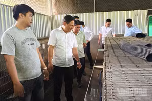 Ông Lê An Quốc (áo trắng), Chủ tịch Ủy ban nhân dân xã Phụng Hiệp cùng lãnh đạo địa phương thăm Hợp tác xã Hưng Phát. (Ảnh: VĂN ÚT)