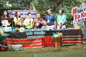Bí thư Đảng ủy, Chủ tịch Hội đồng nhân dân xã Ea Knuếc Ngô Thị Minh Trinh và các khách mời tham gia phiên livestream xúc tiến thương mại, quảng bá thương hiệu và bán sầu riêng cho nông dân địa phương. (Ảnh: Nguyễn Công Lý)