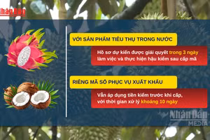 [Video] Tháo gỡ vướng mắc trong cấp mã số vùng trồng, cơ sở đóng gói