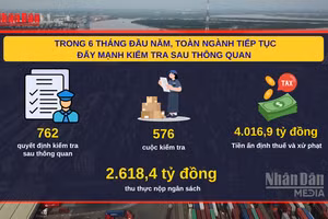 [Video] Kiểm tra sau thông quan, Hải quan thu hơn 2.600 tỷ đồng