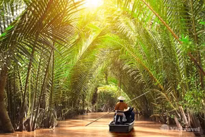 Những con đường thủy xanh mướt bóng dừa. 