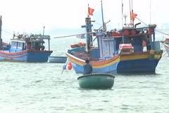 [Video] 13 tỉnh ven biển ứng phó gió giật cấp 9, sóng cao 4m