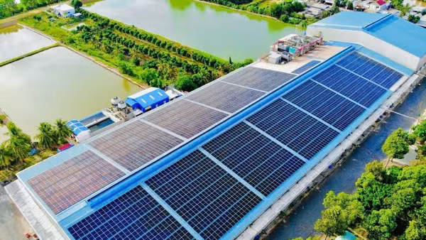 Chuyển đổi số mở đường cho ngành thực phẩm xanh hóa. (Ảnh: Báo Nhân Dân)