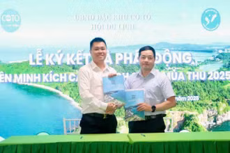 Các doanh nghiệp hợp tác và phát động liên minh kích cầu du lịch Cô Tô mùa thu 2025. 