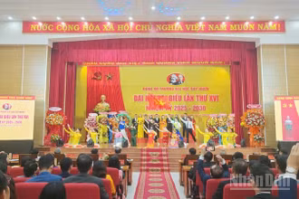 Biểu diễn văn nghệ chào mừng Đại hội.
