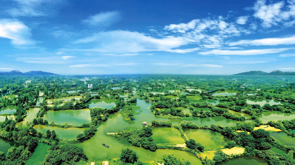 anh-02-tay-khe.jpg