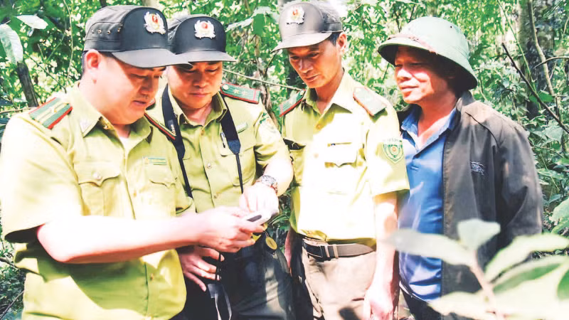 Cán bộ kiểm lâm cơ sở tỉnh Phú Thọ kiểm tra rừng qua hệ thống máy định vị GPS cầm tay và ảnh vệ tinh.