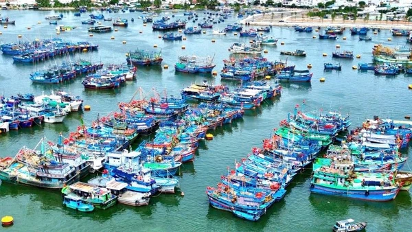 Tàu cá neo đậu tại tại cảng Hòn Rớ để tránh bão.