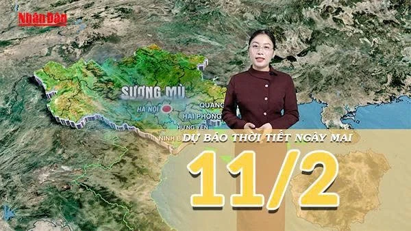 [Video] Dự báo thời tiết đêm nay và ngày mai 11/2/2026: Bắc Bộ mưa phùn và sương mù, Nam Bộ đón mưa trái mùa