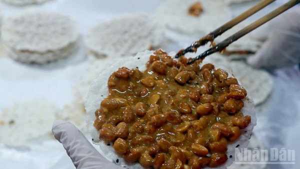 Lạc mẩy, gừng thơm, mật sánh, bánh đa giòn, từng thành phần hội tụ theo công thức gia truyền và bàn tay người nghệ nhân, cho ra những miếng kẹo cu đơ đậm đà, in sâu trong ký ức người thưởng thức.