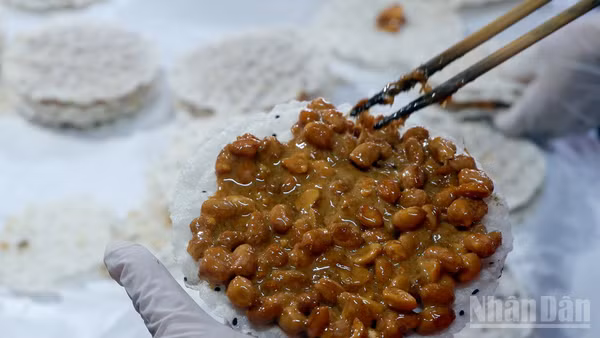 Lạc mẩy, gừng thơm, mật sánh, bánh đa giòn, từng thành phần hội tụ theo công thức gia truyền và bàn tay người nghệ nhân, cho ra những miếng kẹo cu đơ đậm đà, in sâu trong ký ức người thưởng thức.