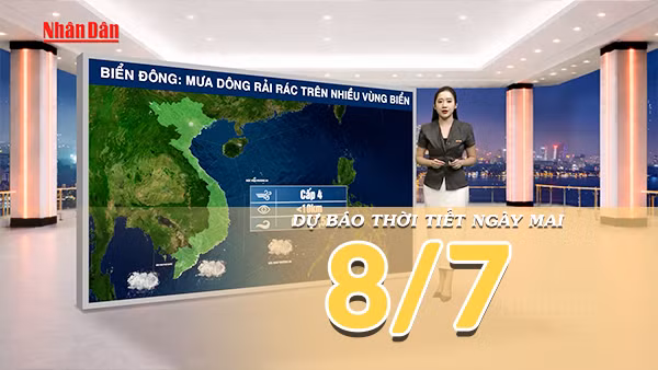 [Video] Dự báo thời tiết đêm nay và ngày mai ngày 8/7/2026: Bắc Bộ có mưa rào và dông nhiều nơi, Nam Bộ mưa dông rải rác vào chiều tối 