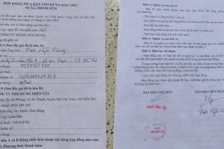 Công ty Trách nhiệm hữu hạn Mạnh Tinh Hùng đã giải thể nhưng vẫn ký hợp đồng tiêu thụ với nông dân. (Ảnh: HOÀNG TRUNG)