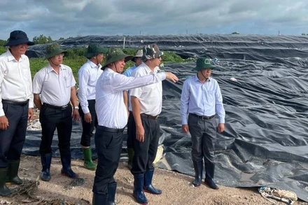 Ủy ban nhân dân tỉnh Bến Tre chỉ đạo tăng cường quản lý chất thải rắn sinh hoạt trên địa bàn. (Ảnh: HOÀNG TRUNG)