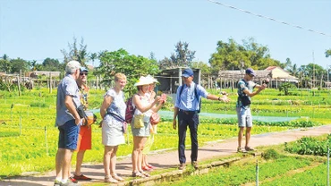 Du khách tham quan Làng rau Trà Quế, phường Hội An Tây, thành phố Đà Nẵng.