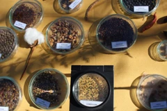 Một số mẫu hạt giống tại Ngân hàng Hạt giống Intihuasi. (Ảnh: Đại sứ quán Chile tại Việt Nam cung cấp)