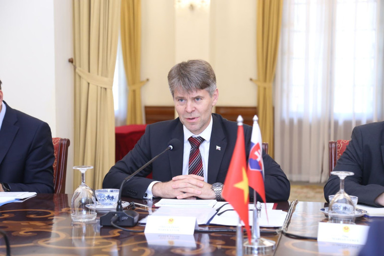 Quốc Vụ khanh Marek Estok tại Tham vấn chính trị Slovakia-Việt Nam. (Ảnh: BNG) 2-2.jpg