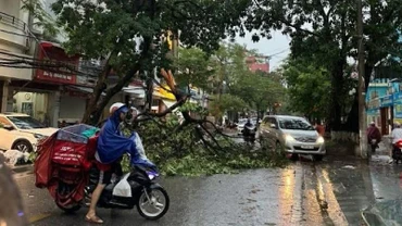 Chiều 19/7, mưa lớn kèm theo gió mạnh, trên một số tuyến đường của thành phố Hải Phòng đã có trường hợp cây xanh bị gãy đổ.