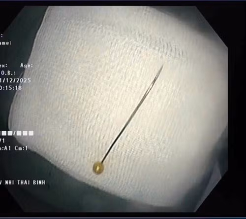 image-6.jpg