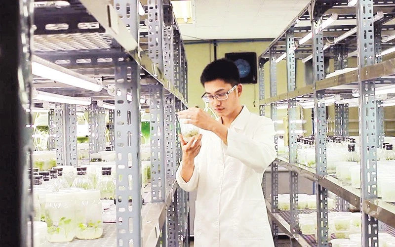 Đại học Duy Tân đẩy mạnh hoạt động nghiên cứu khoa học. (Ảnh MINH CHUNG)