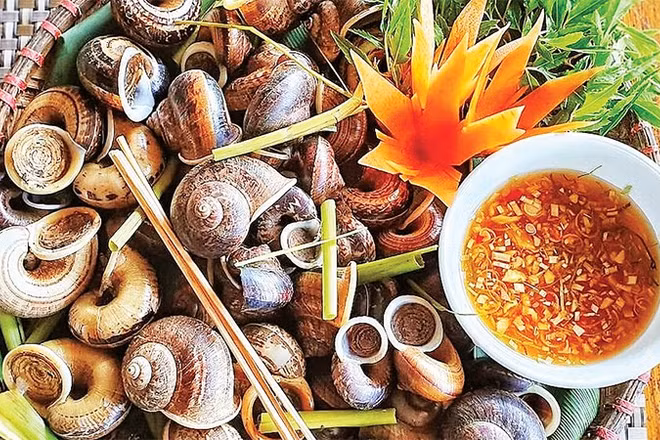 Món ốc núi Tây Ninh luộc sả gừng.