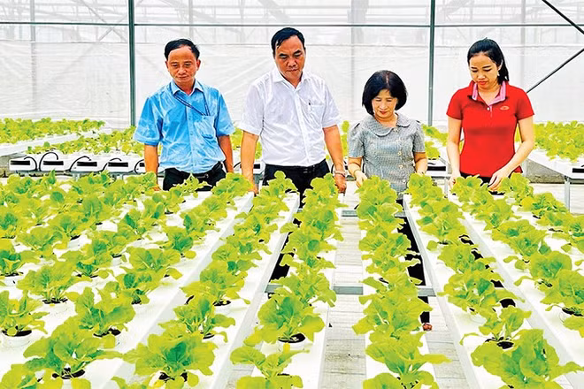 Khu Nông nghiệp công nghệ cao Thành phố Hồ Chí Minh góp phần hỗ trợ bà con nhiều giống cây trồng và công nghệ mới phục vụ cho nông nghiệp đô thị.
