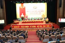 Các đại biểu dự đại hội.
