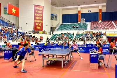 Đây không chỉ là một sự kiện thể thao mang tầm quốc gia mà còn là dịp chào mừng tỉnh Ninh Bình mới, khẳng định vị thế và sự phát triển của thể thao địa phương. 