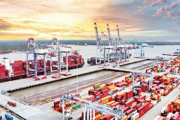 Cụm cảng Cái Mép-Thị Vải, phường Tân Phước,Thành phố Hồ Chí Minh. (Ảnh THẾ ANH)