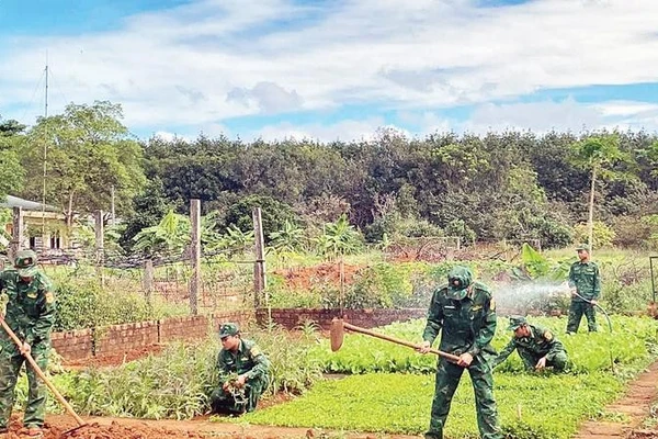 Cán bộ, chiến sĩ Đồn Biên phòng Ia Đal tăng gia sản xuất sau giờ tuần tra, huấn luyện.